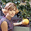 1966-67